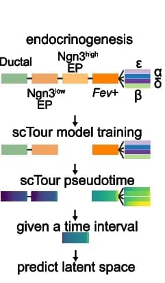 Open access visualization of Workflow, Flowchart, Schematic, Model Training, Latent Space