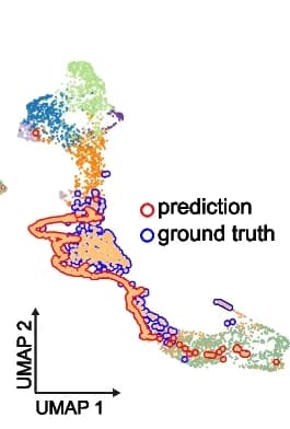 Open access visualization of UMAP, Scatter Plot, Latent Representation, Ngn3 High EPs, Pseudotime