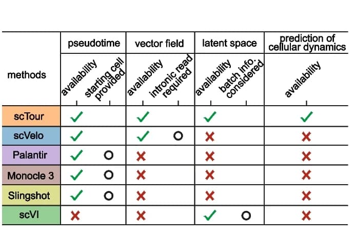Open access visualization of Table Image, Functionalities, Features, Methods