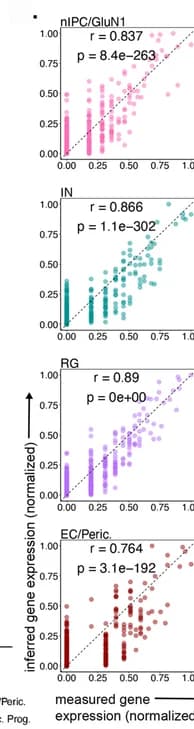 Open access visualization of Scatter Plot, Regression Plot, Gene Expression, Single-Cell, Cell Type