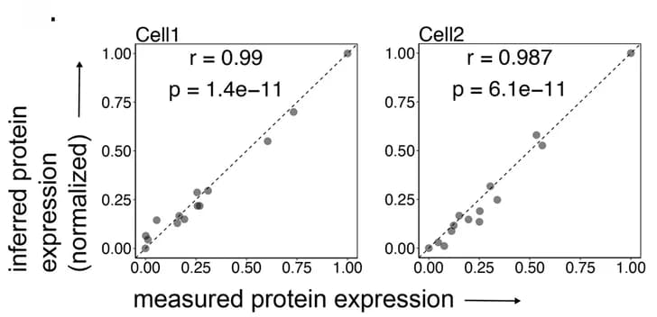 Open access visualization of Scatter Plot, Regression Plot, Protein Expression, Normalized Expression, Single Cells