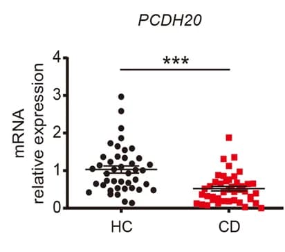 Open access visualization of Scatter Plot, RT-qPCR, PCDH20 mRNA expression, Colon Biopsy, Crohn's Disease Patients