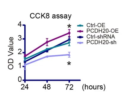 Open access visualization of Line Plot, Error Bars, CCK8 Assay, Caco-2 Cell Line, PCDH20 Overexpression
