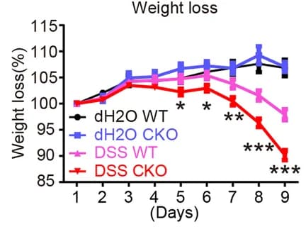 Open access visualization of Line Plot, Error Bars, Weight loss, Pcdh20 CKO mice, WT mice