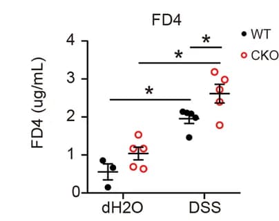 Open access visualization of Scatter Plot, Error Bars, FD4 level, Serum, Pcdh20 CKO mice