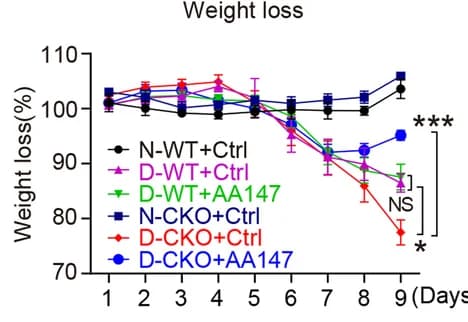 Open access visualization of Line Plot, Error Bars, Weight Loss, Pcdh20 CKO Mice, DSS Administration