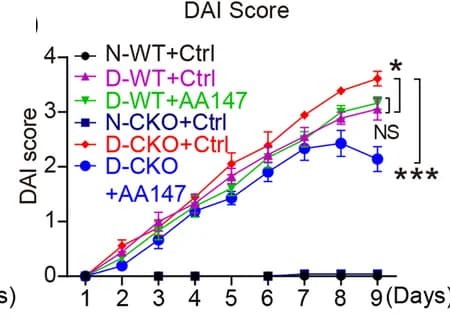Open access visualization of Line Plot, Error Bars, Disease Activity Index, Pcdh20 CKO Mice, DSS Administration