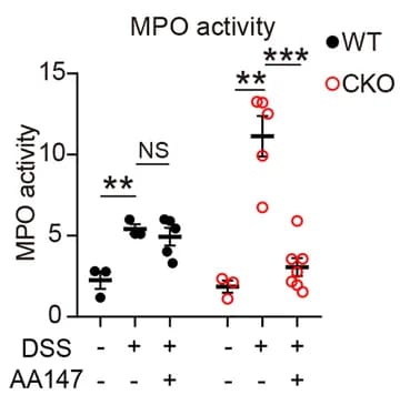 Open access visualization of Scatter Plot, Myeloperoxidase Activity, Pcdh20 CKO Mice, DSS Administration