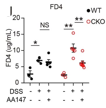 Open access visualization of Scatter Plot, Error Bars, FD4 Level, Pcdh20 CKO Mice, DSS-induced Colitis