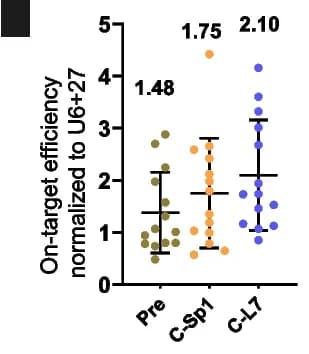 Open access visualization of Scatter Plot, Error Bars, Fluorescence-Activated Cell Sorting, FACS, mNeonGreen reporter cells