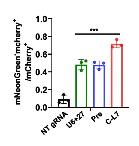 Open access visualization of Bar Plot, Error Bars, Cleavage efficiency, FACS assays, mNeonGreen