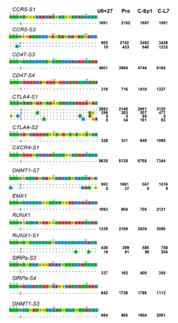 Open access visualization of Illustration, Table Image, gRNAs-directed DNA cleavage, Lb Cas12a, HEK293T cell line