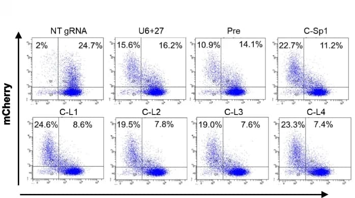 Open access visualization of Scatter Plot, RNA Cleavage, CasRx, mNeonGreen, Reporter Gene