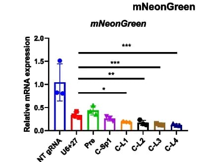 Open access visualization of Bar Plot, Error Bars, Degradation, mNeonGreen Transcripts, CasRx