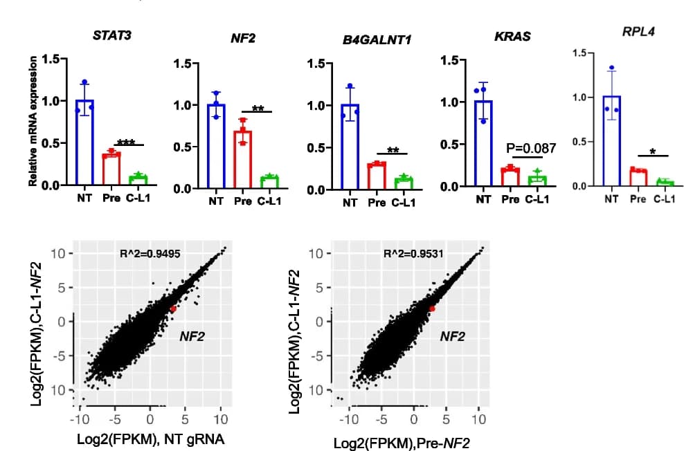 Open access visualization of Bar Plot, Error Bars, Scatter Plot, RNA Cleavage Efficiency, CasRx