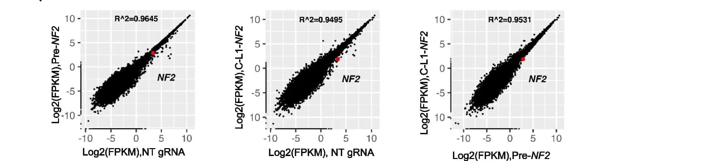Open access visualization of Scatter Plot, Regression Plot, Specificity, cgRNA, Gene Degradation