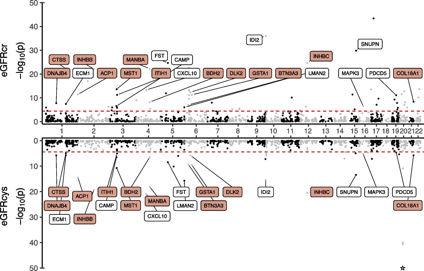 Open access visualization of Manhattan Plot, PWAS, eGFRcr, eGFRcys, Proteins