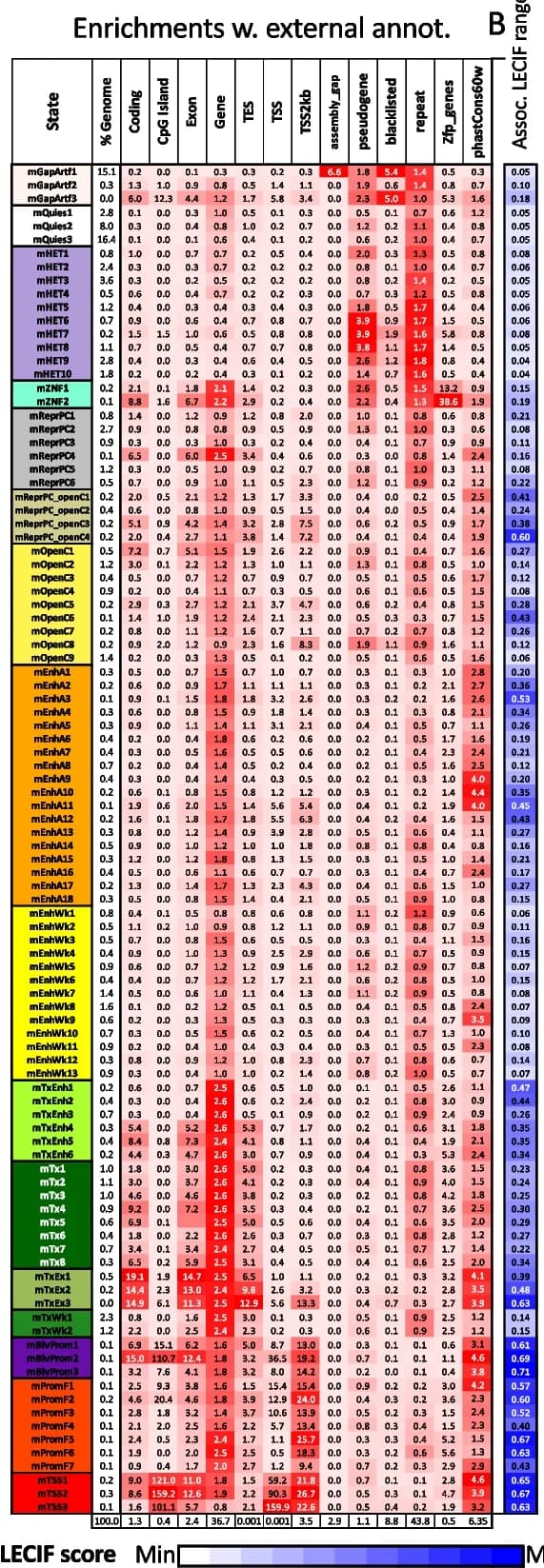 Open access visualization of Heatmap, Clustered, Mouse Full-Stack States, External Genome Annotations, Coding Sequences