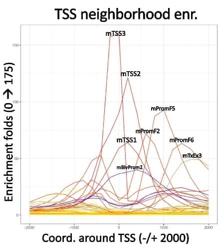 Open access visualization of Line Plot, Positional Enrichments, Full-Stack States, Transcription Start Sites, Coordinate Values