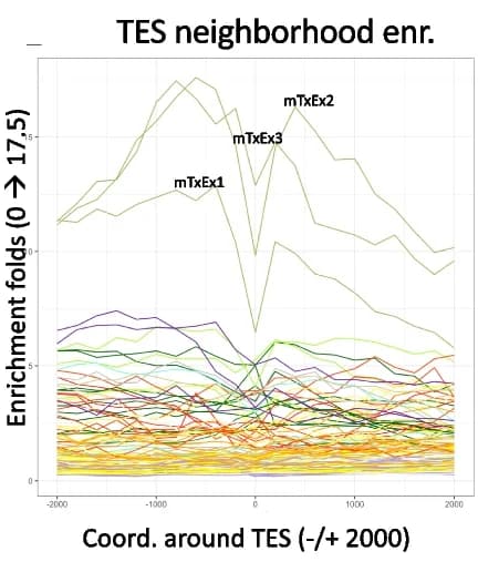 Open access visualization of Line Plot, Positional Enrichments, Full-Stack States, Transcription End Sites, Coordinate Values