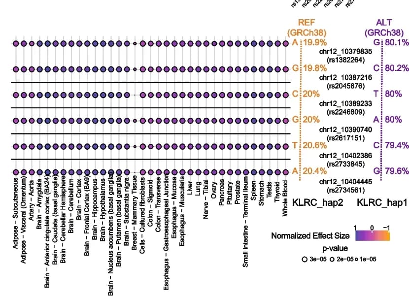 Open access visualization of Scatter Plot, Manhattan Plot, SNVs, KLRC2 Expression, eQTL Plots