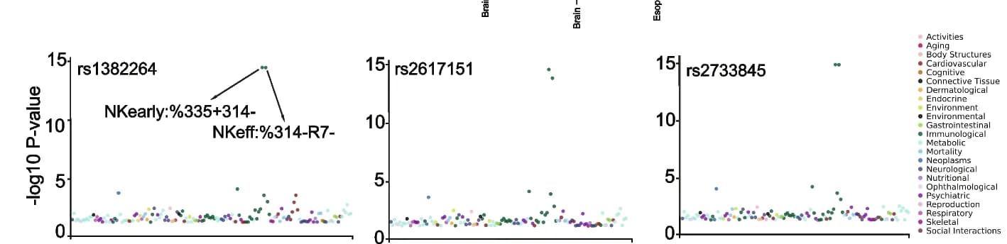 Open access visualization of Scatter Plot, Volcano Plot, PheWAS Plots, SNVs, Immune Domain Differentiation