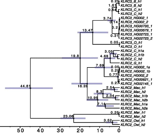 Open access visualization of Line Plot, Error Bars, Line Step, Phylogenetic Tree, KLRC2