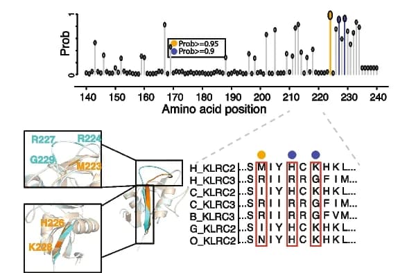 Open access visualization of Bar Plot, Error Bars, Protein Structure, Amino Acid, Positive Selection