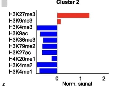 Open access visualization of Bar Plot, Cluster 2, TSS Regions, Transcriptionally Repressed Chromatin, Histone Posttranslational Modifications