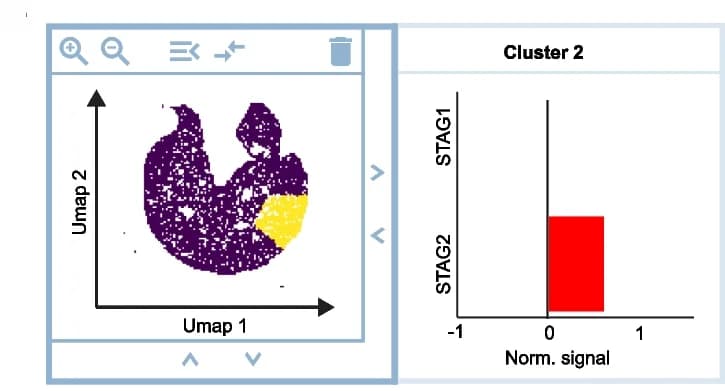 Open access visualization of UMAP, Bar Plot, SMC3 ChIP-seq peaks, STAG2, Clustering
