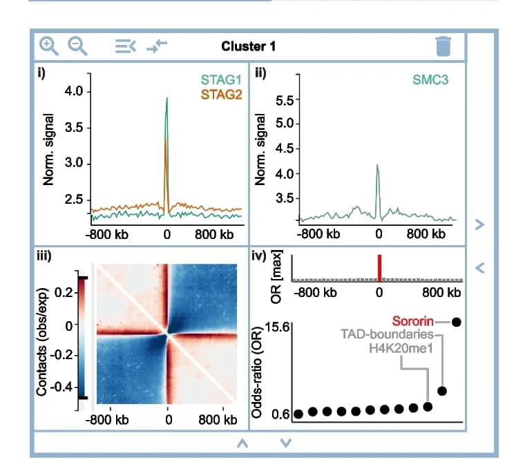 Open access visualization of Line Plot, Heatmap, Scatter Plot, STAG1, STAG2