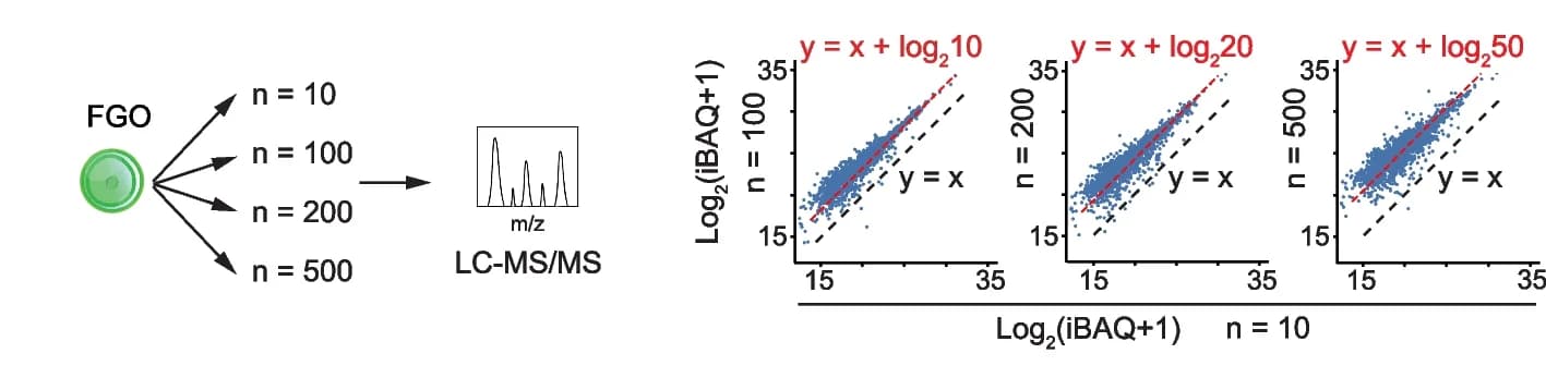 Open access visualization of Scatter Plot, Workflow, Line Plot, LC-MS/MS, Protein Quantification