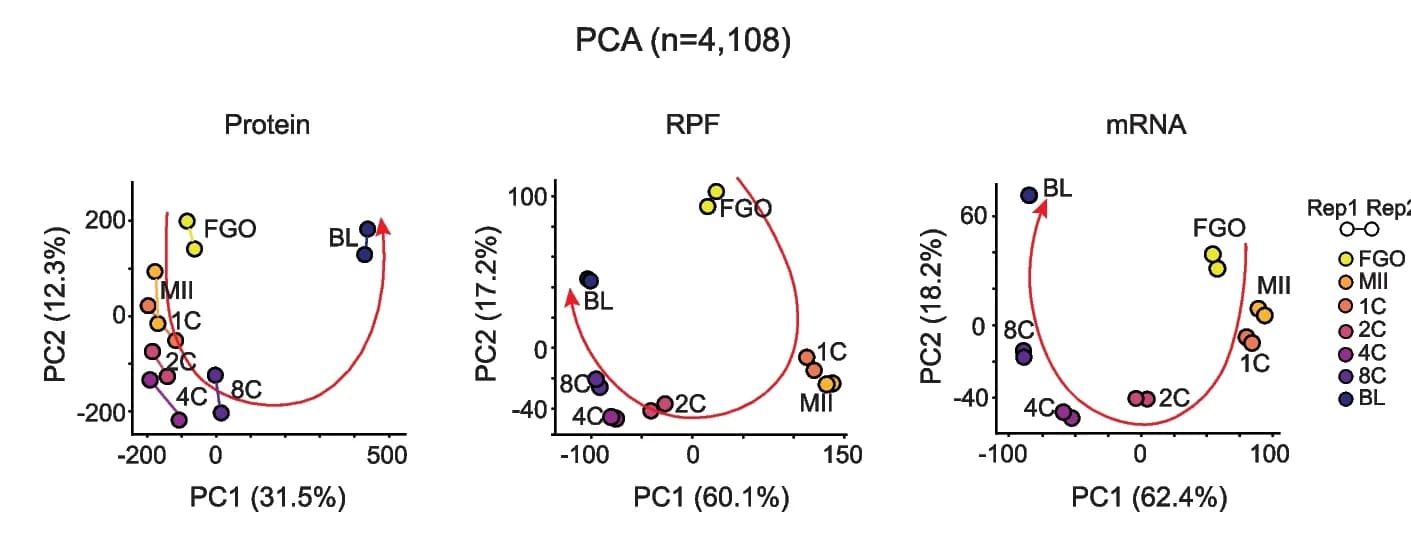 Open access visualization of Scatter Plot, PCA, Line Plot, Principal Component Analysis, Genes