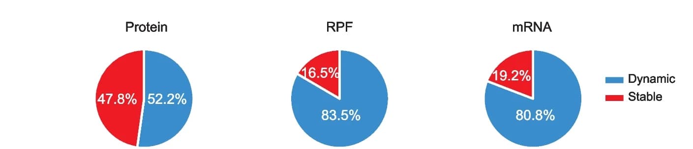 Open access visualization of Pie Chart, Pie Charts, Proteins, mRNAs, Genes