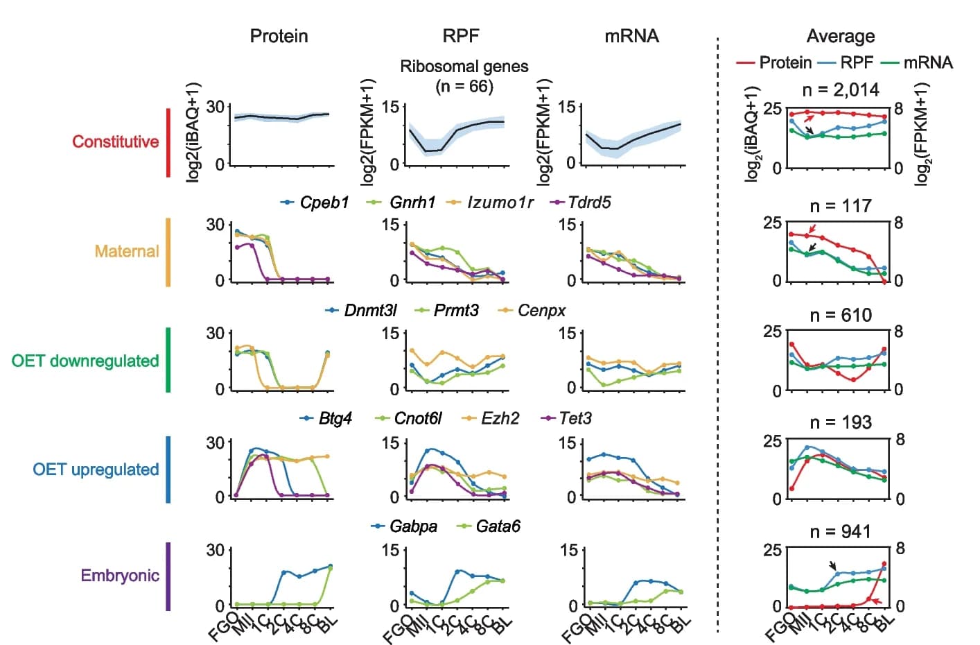 Open access visualization of Line Plot, Error Bars, Line plots, Protein dynamics, RPF