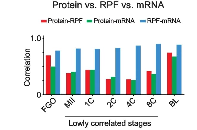 Open access visualization of Clustered, Spearman Correlation Coefficients, Protein-RPF, Protein-mRNA, RPF-mRNA