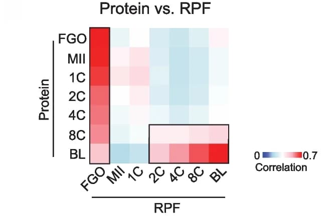 Open access visualization of Heatmap, Heat Map, Spearman Correlation Coefficients, Protein, RPF