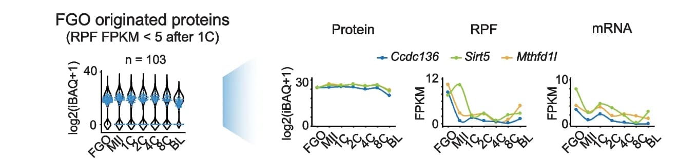 Open access visualization of Violin Plot, Line Plot, Protein Levels, Proteins, FGOs