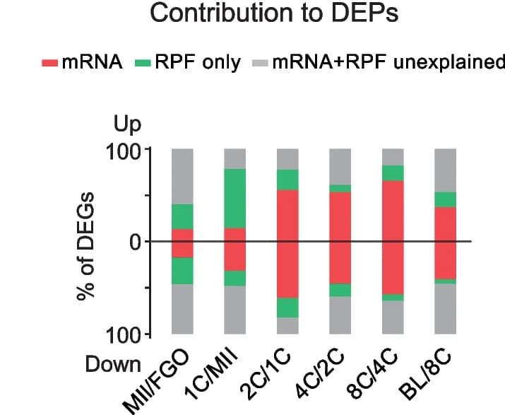 Open access visualization of Stacked Bar Plot, Differentially Expressed Proteins, mRNA, RPF, Oocyte Maturation