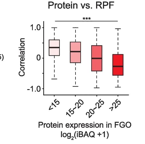 Open access visualization of Box Plot, Box plots, Protein, RPF, Protein abundance