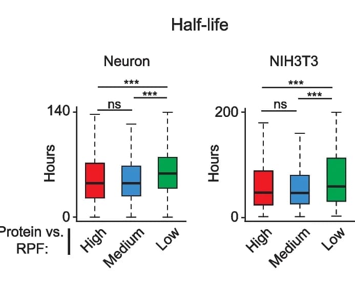Open access visualization of Box Plot, Box plots, Protein half-lives, Protein, RPF