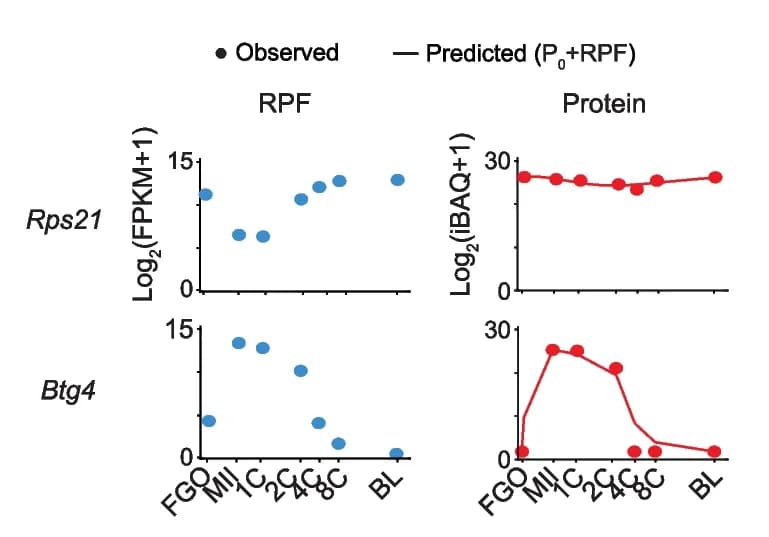 Open access visualization of Line Plot, Scatter Plot, Dot-Line Plots, Protein Levels, RPF Levels