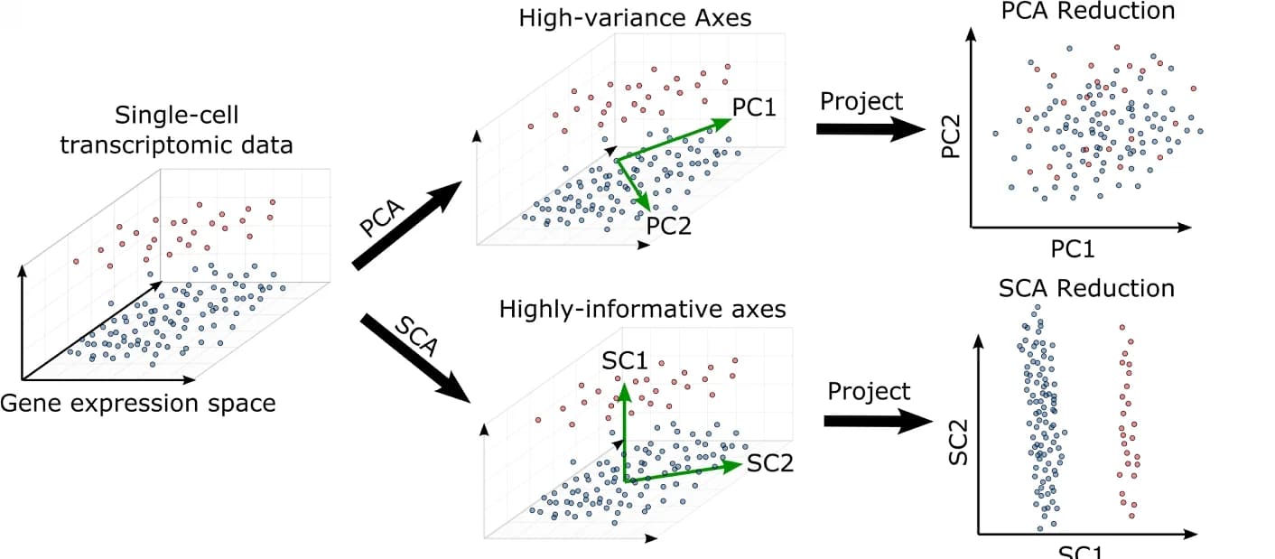 Open access visualization of Scatter Plot, PCA, Single Cell Analysis, Principal Component Analysis, Surprisal Component Analysis