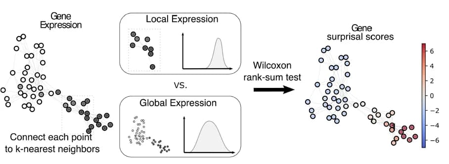 Open access visualization of Network, Scatter Plot, Density Plot, Gene Expression, Surprisal Score
