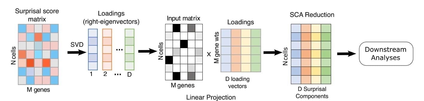 Open access visualization of Workflow, Illustration, Surprisal Component, Singular Value Decomposition, Gene Expression