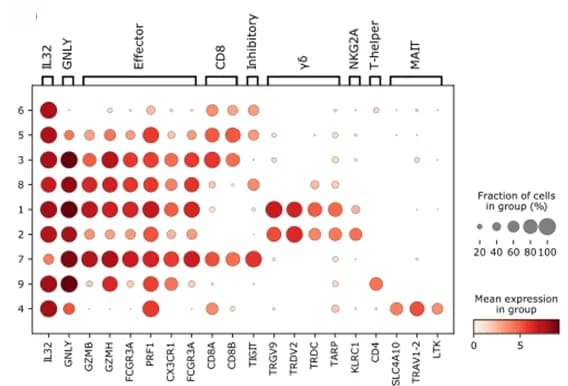 Open access visualization of Bubble Plot, Heatmap, Dot Plot, Marker Genes, SCA