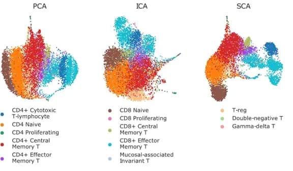 Open access visualization of Scatter Plot, PCA, UMAP Plot, ICA, SCA
