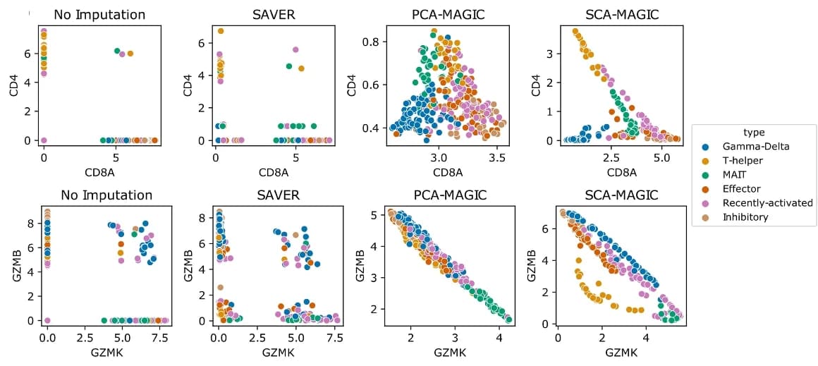 Open access visualization of Scatter Plot, Gene-Gene Relationships, Cytotoxic T Cells, Imputation, SAVER