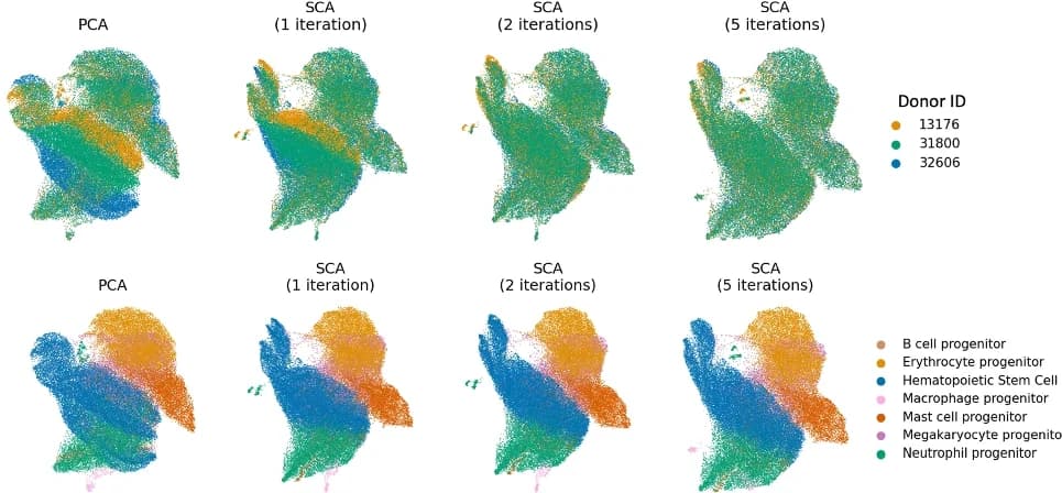Open access visualization of Scatter Plot, PCA, UMAP, SCA, CD34+ Immune Cells