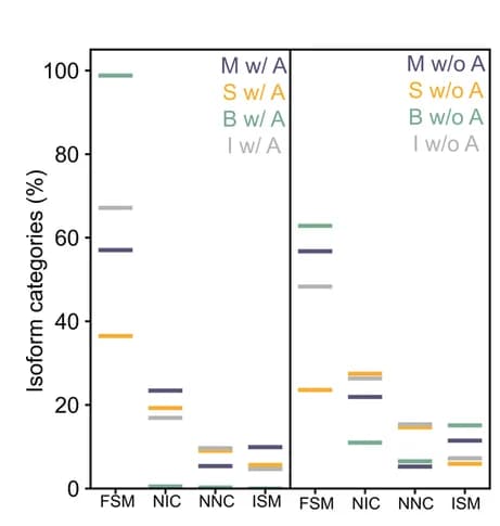 Open access visualization of Bar Plot, SQANTI Category Composition, Isoform Identification, Mandalorion, StringTie